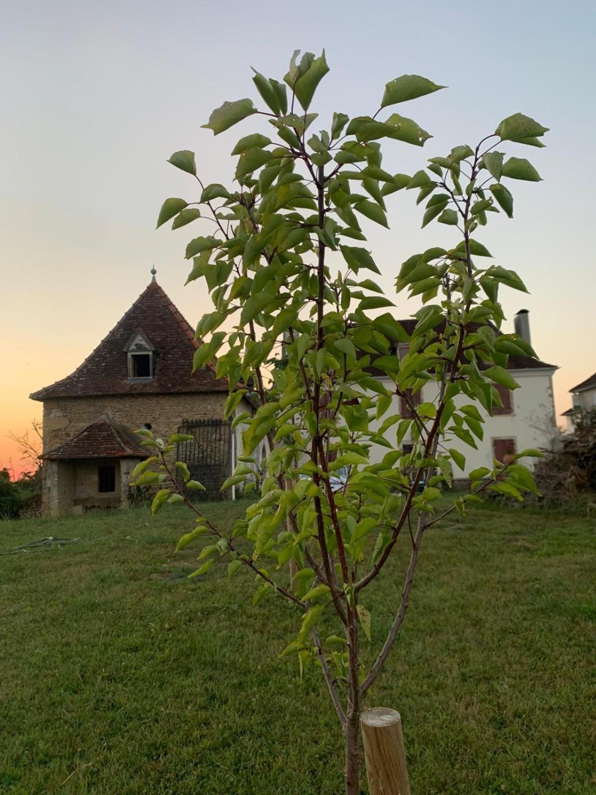 La Poesie Lagor Exterior foto